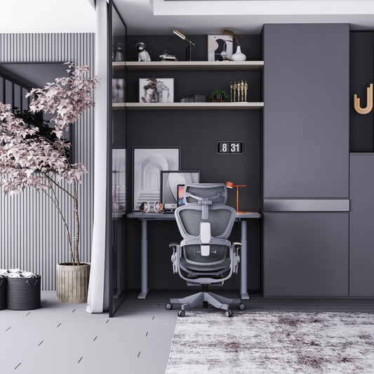 Ergonomic office chair vs a standard chair: what’s the difference? | Hinomi