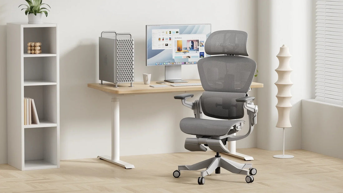 Ergonomic office chair vs a standard chair: what’s the difference?