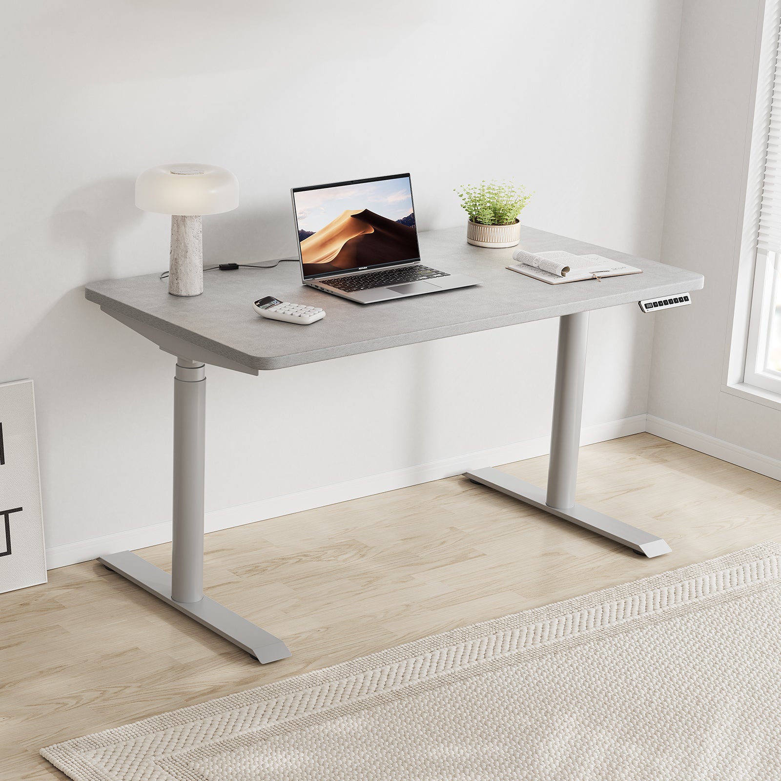 HINOMI S1 Home Office Standing Desk