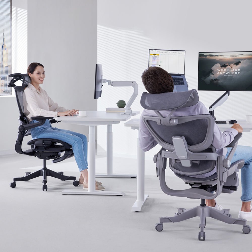 HINOMI H1 Pro Ergonomic Chair