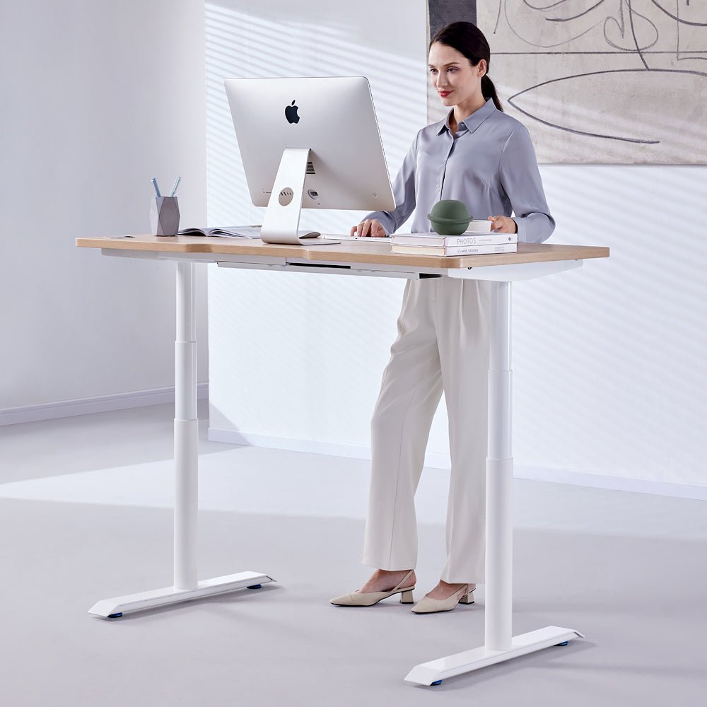 HINOMI S1 Home Office Standing Desk