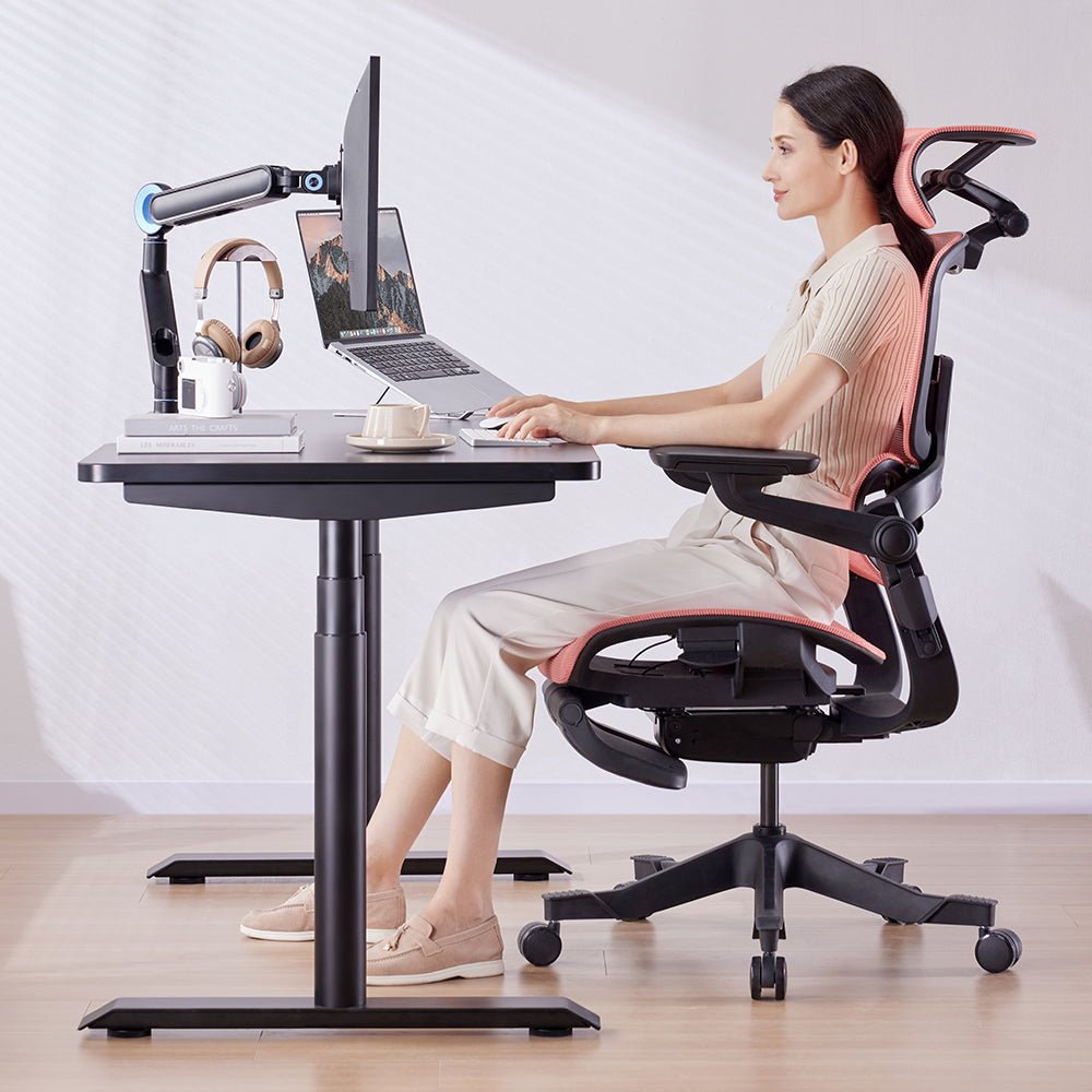 HINOMI S1 Home Office Standing Desk