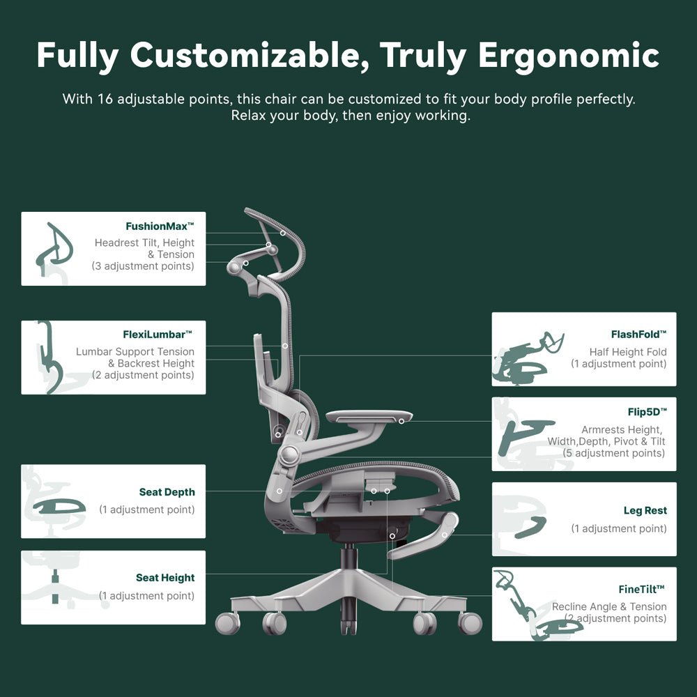 HINOMI H1 Pro Ergonomic Chair